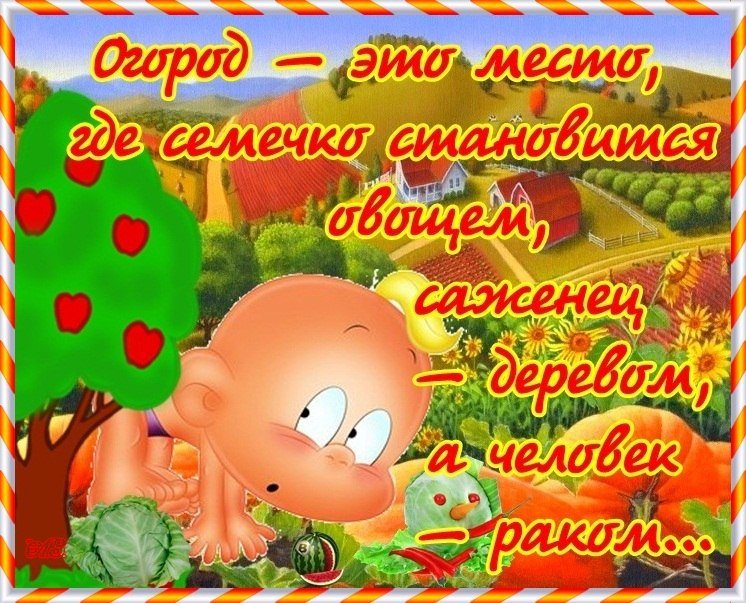 Веселые Дачники Картинки