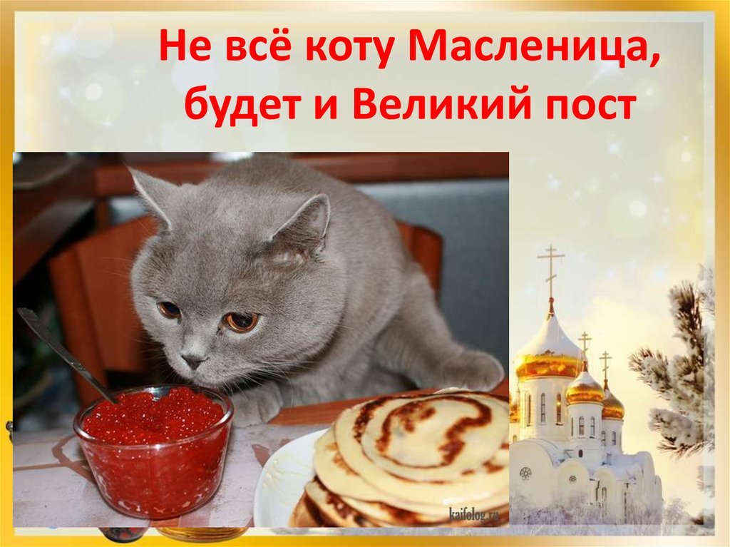 Не всё коту масленица. Открытка