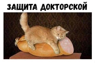 Кот с колбасой