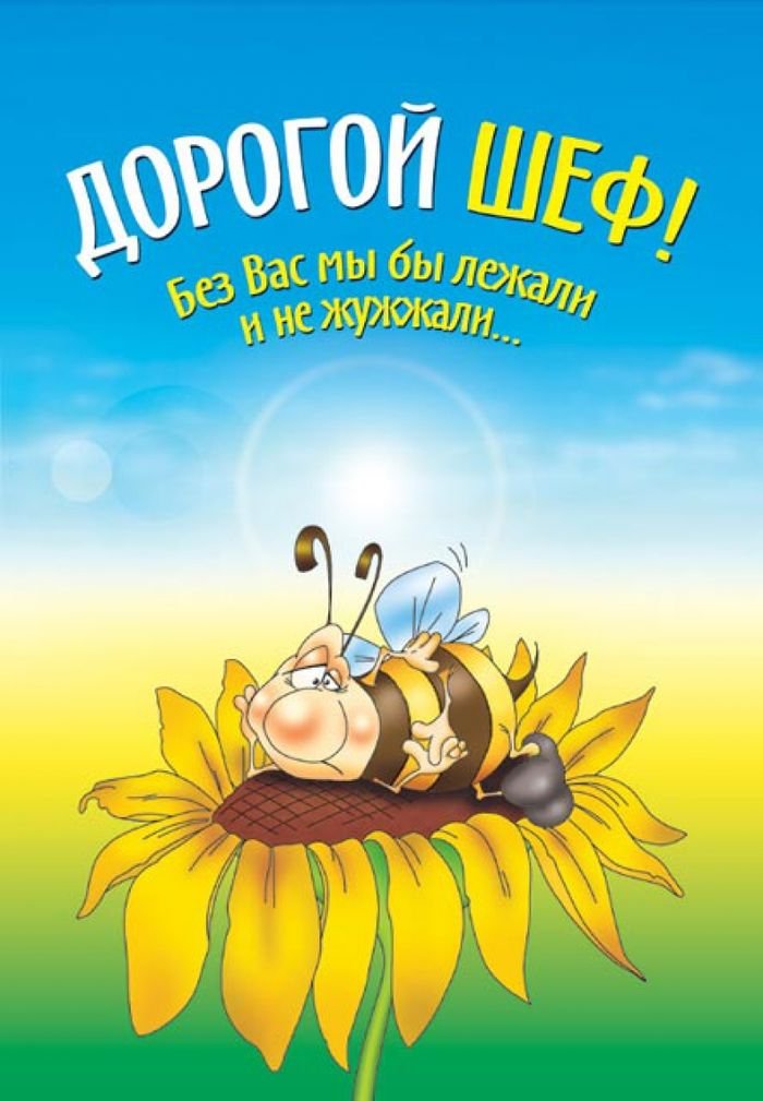 Подарок любимому, боссу, сюрприз открытка руководителю или начальнику, сувенир на день рождения