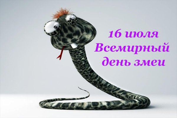 16 Июля праздник день змеи