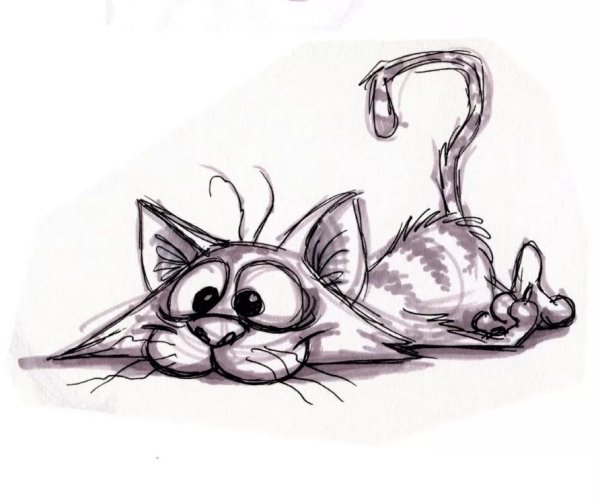 Котики нарисованные карандашом
