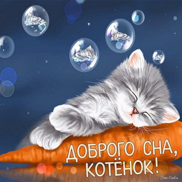 Спящие котята