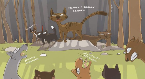 Коты воители
