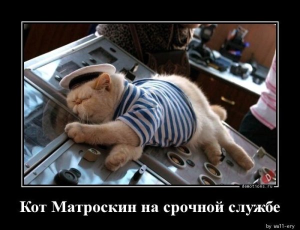 Матроскин приколы