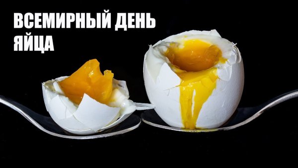 Всемирный день яйца 2021