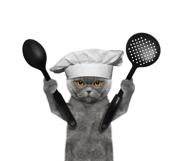 Кот повар