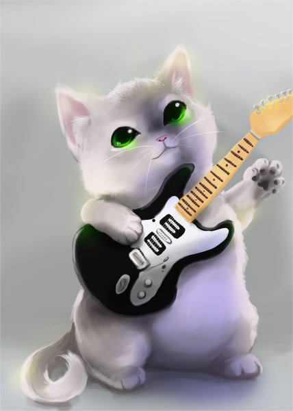 Кот с гитарой