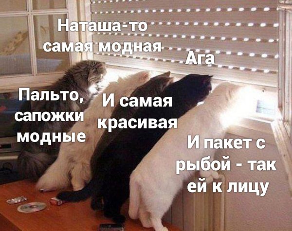 Про котов и наташу