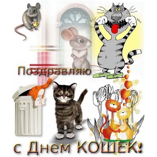 1 Марта день кошек