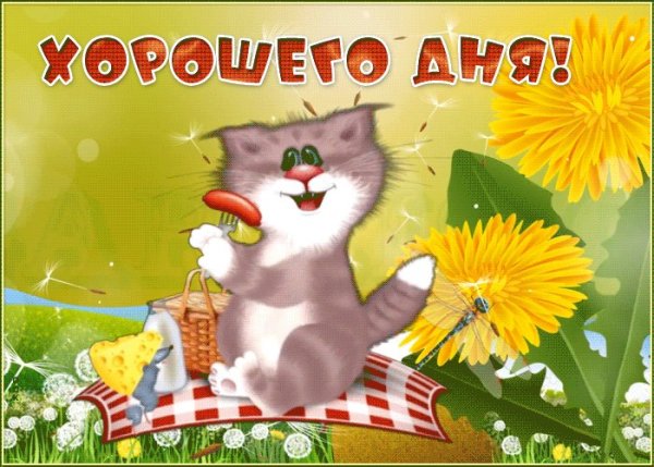 Доброго дня котики