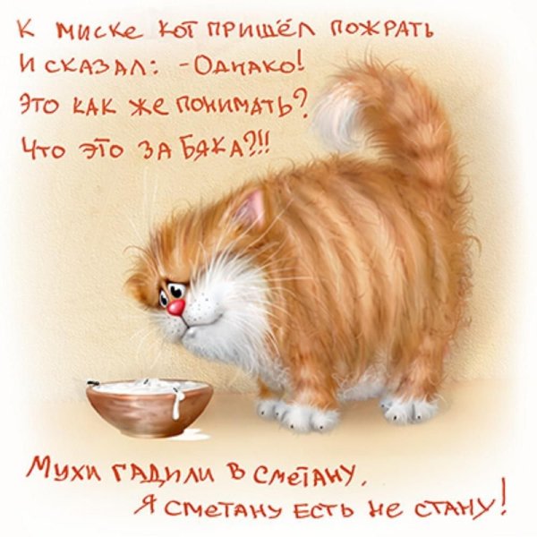 Доброе утро с кошками