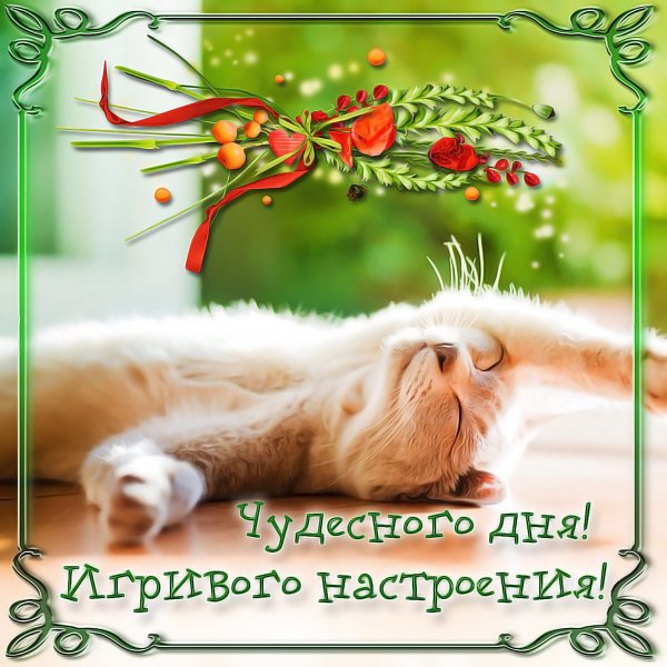 Открытки Веселые и добрые