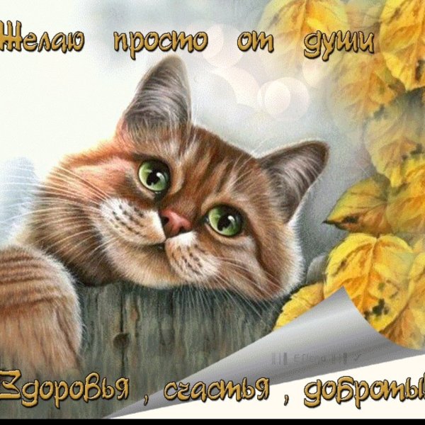 Открытка "на счастье"