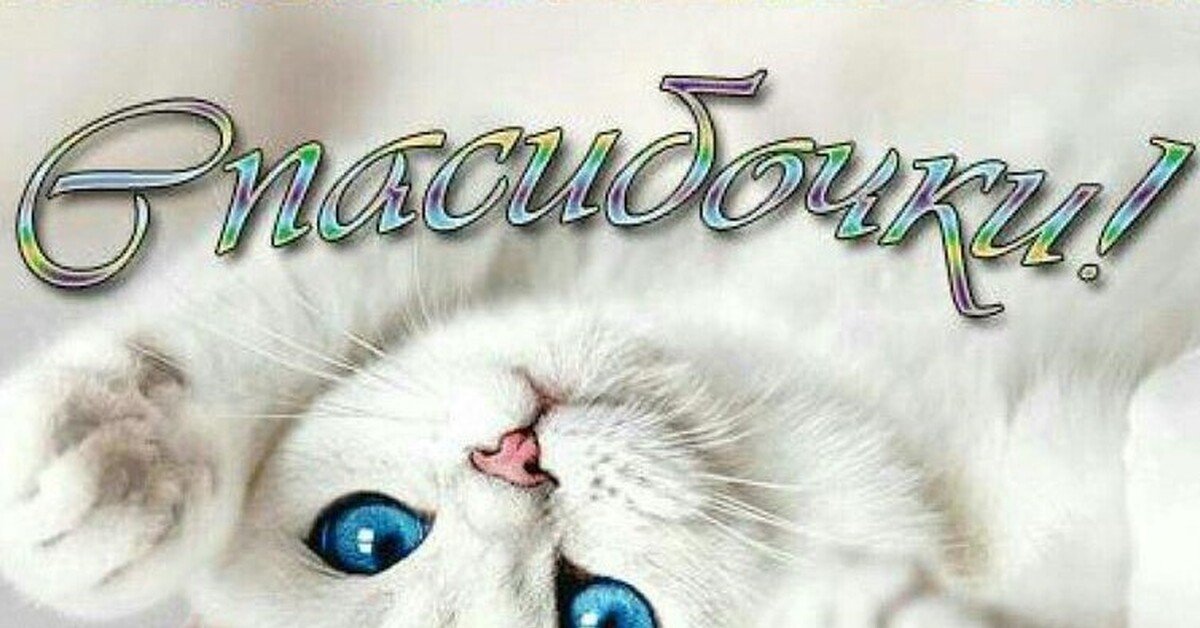 Породы кошек