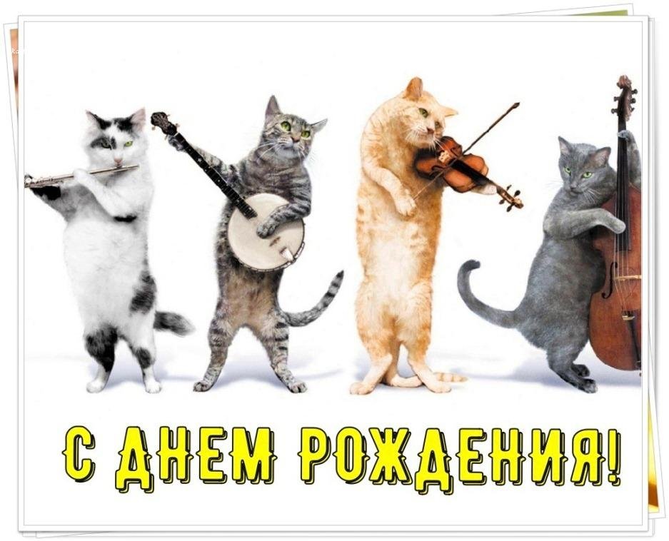 CATS-открытки :: Виртуальные открытки с кошками и котятами :: С днем рождения!