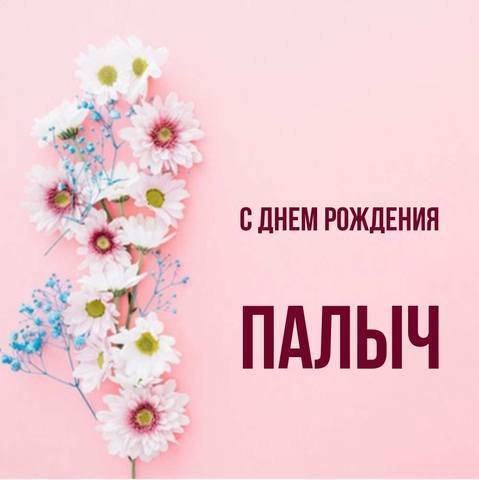 Палыч с днем рождения прикольные