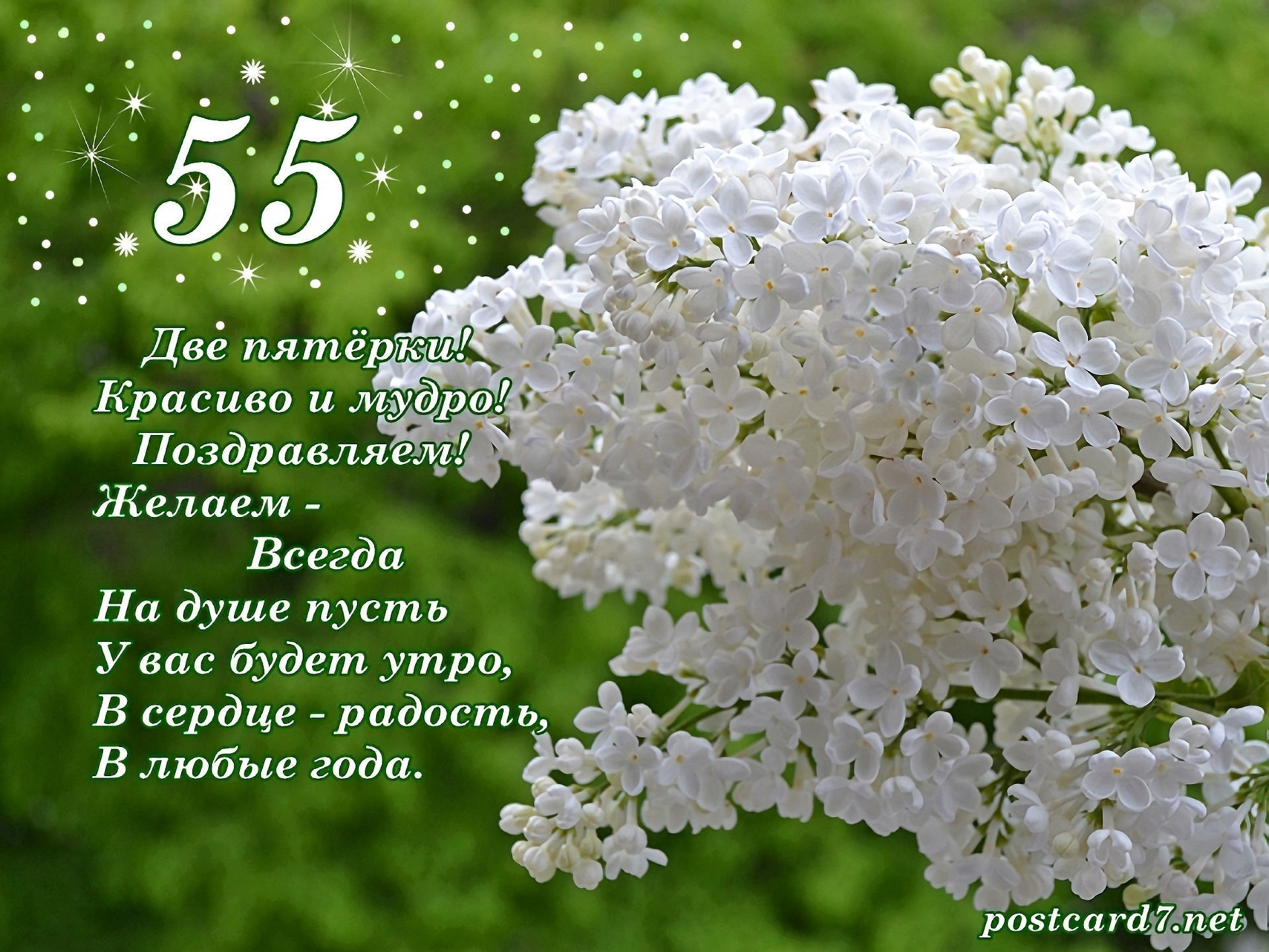 Прикольные сценки в виде поздравления на 55 лет женщине