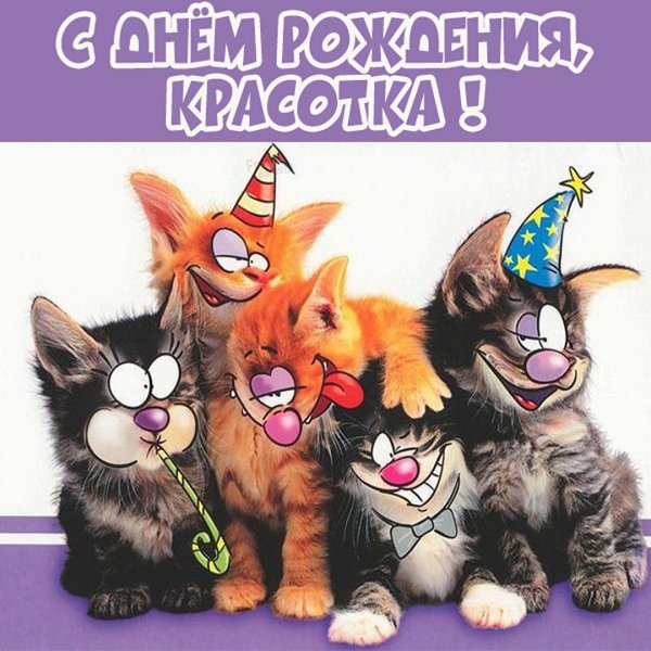 С днем рожденияприкольнве