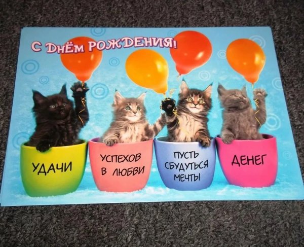 С рождением котенка