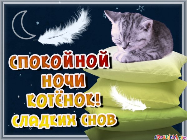 Котенок. Спокойной ночи!