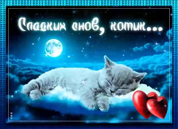 Спокойной ночи котик мой