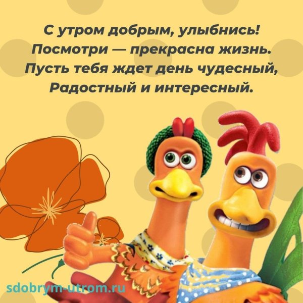 Смешные пожелания с добрым утром