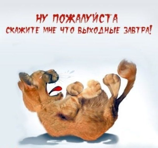 Ура выходные с надписями