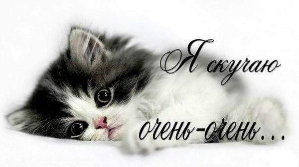 Картинки я скучаю