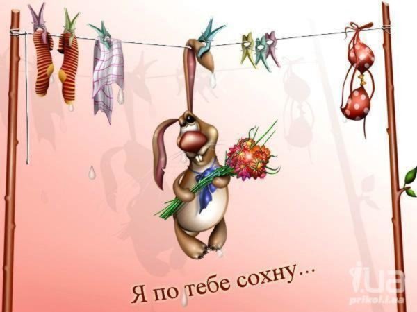 Прикольные открытки