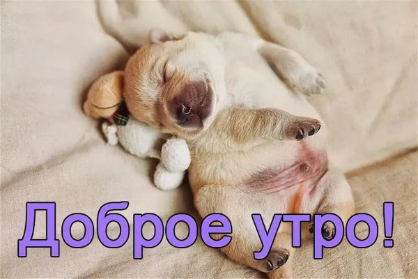 Доброе утро с надписями