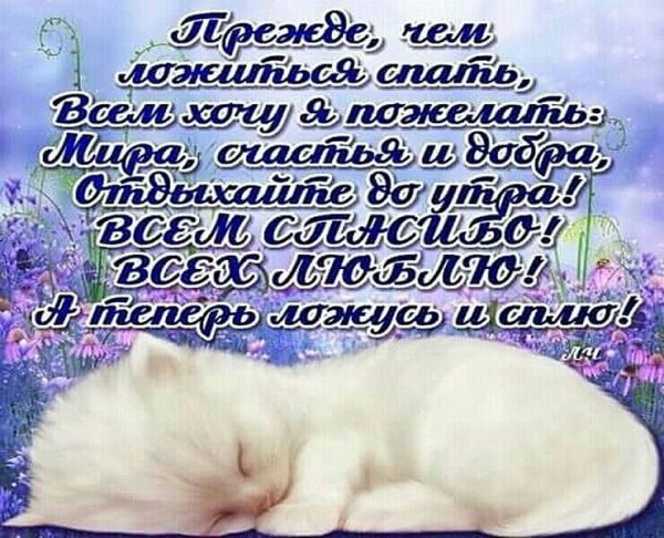 Сладких снов девушке