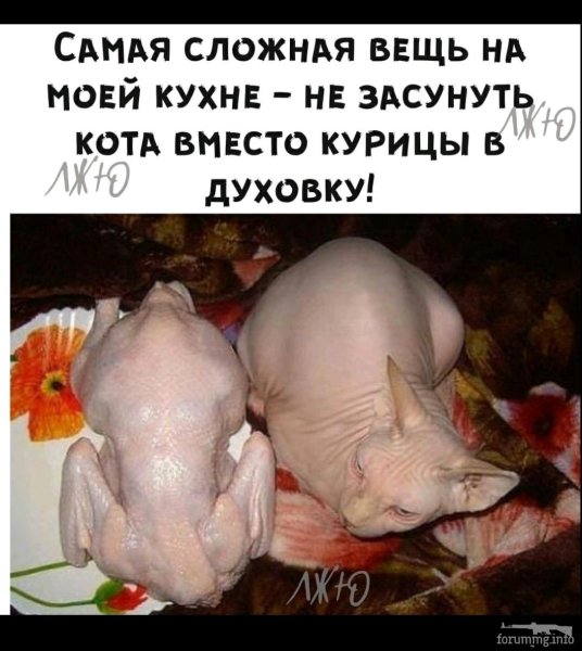 Юморные с надписями