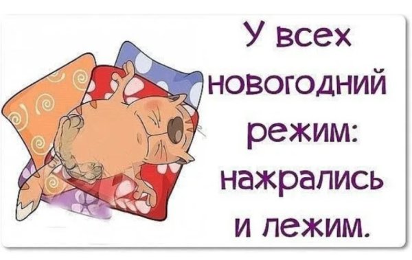У всех новогодний режим нажрались и лежим