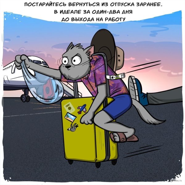 кот степан бирд борн