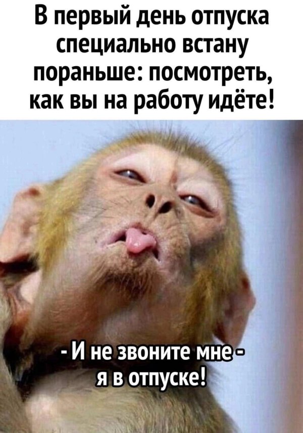 я отпуске