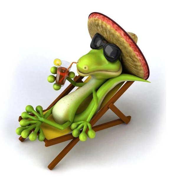 ящерица загорает