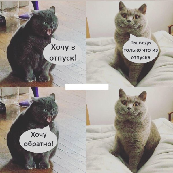 хочу отпуск