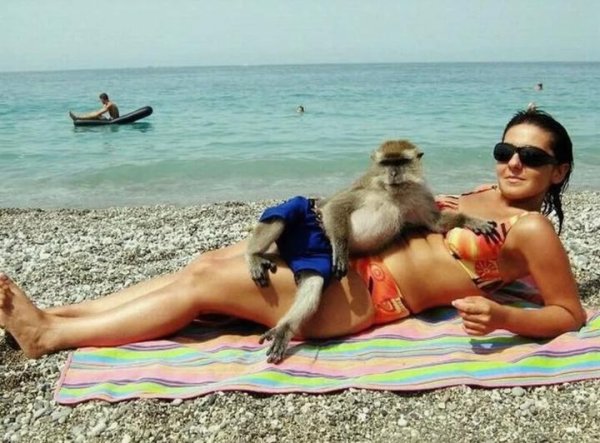 пляж прикол