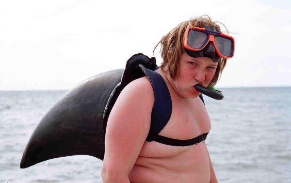 жирная акула