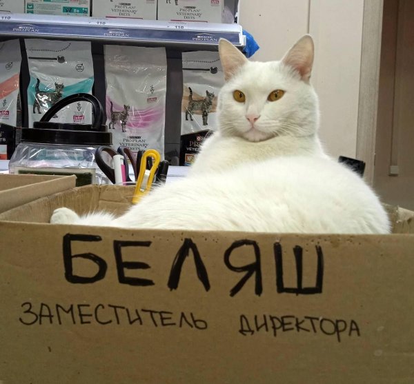 Ок