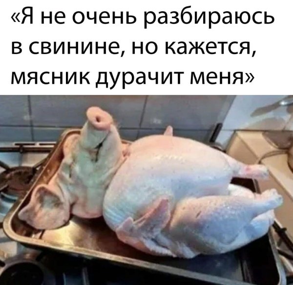 мясо кур