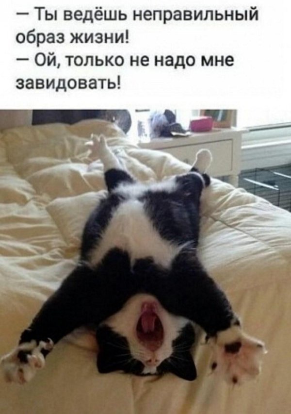 неправильный образ жизни