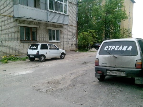 прикольные надписи на машинах