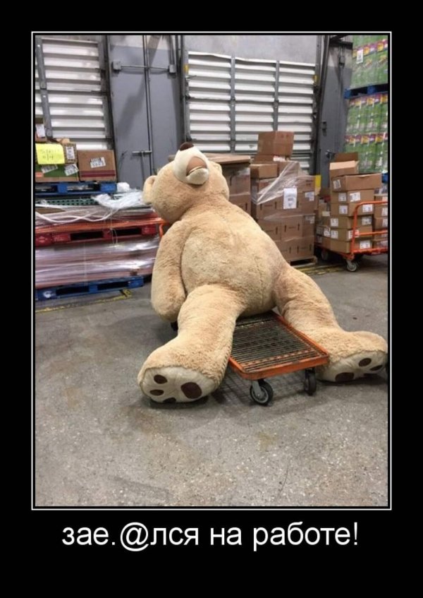 мягкая игрушка