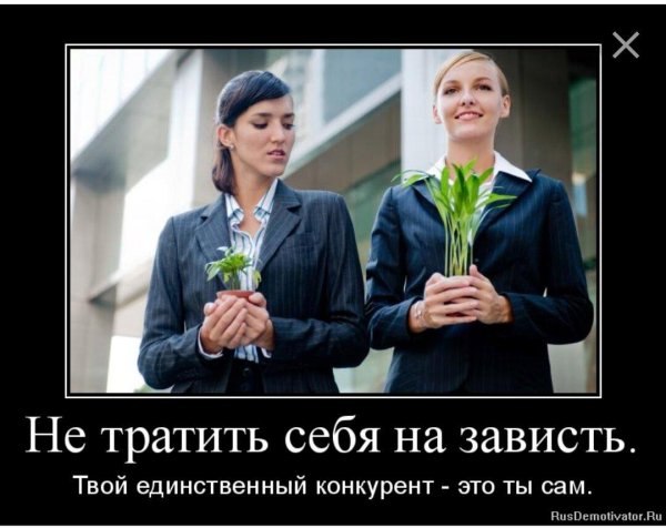 завидую белой завистью