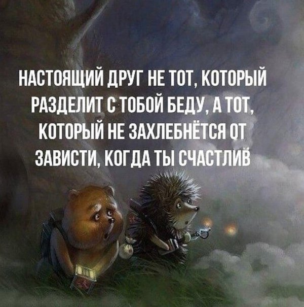 настоящие друзья