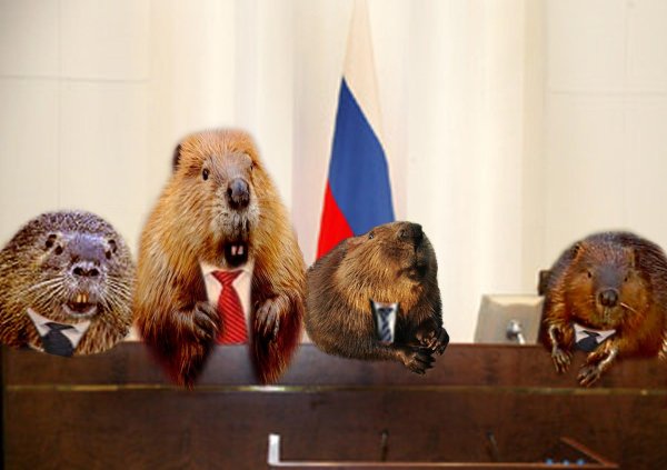 европейский бобр