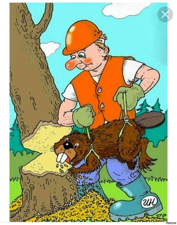 пилит дерево