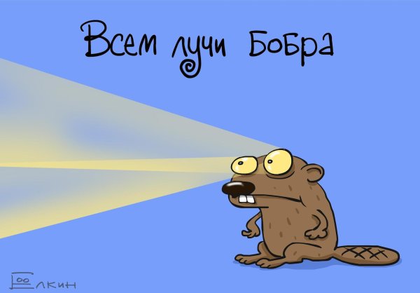 лучи бобра